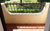 apartments LOS NIDOS: C6 - balcony (example)